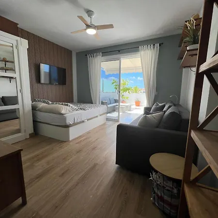Apartment With Large Terrace And Ocean View